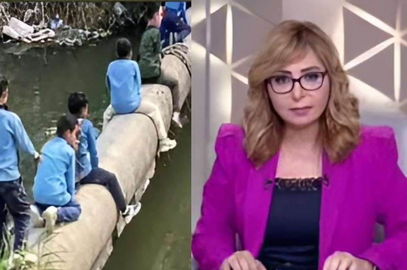 لميس الحديدي