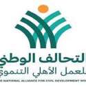 التحالف الوطني للعمل الأهلي التنموي