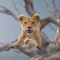 The Lion King