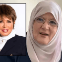 شمس البارودي